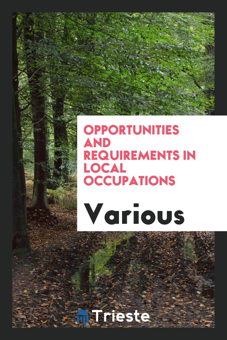 Opportunities and Requirements in Local Occupations