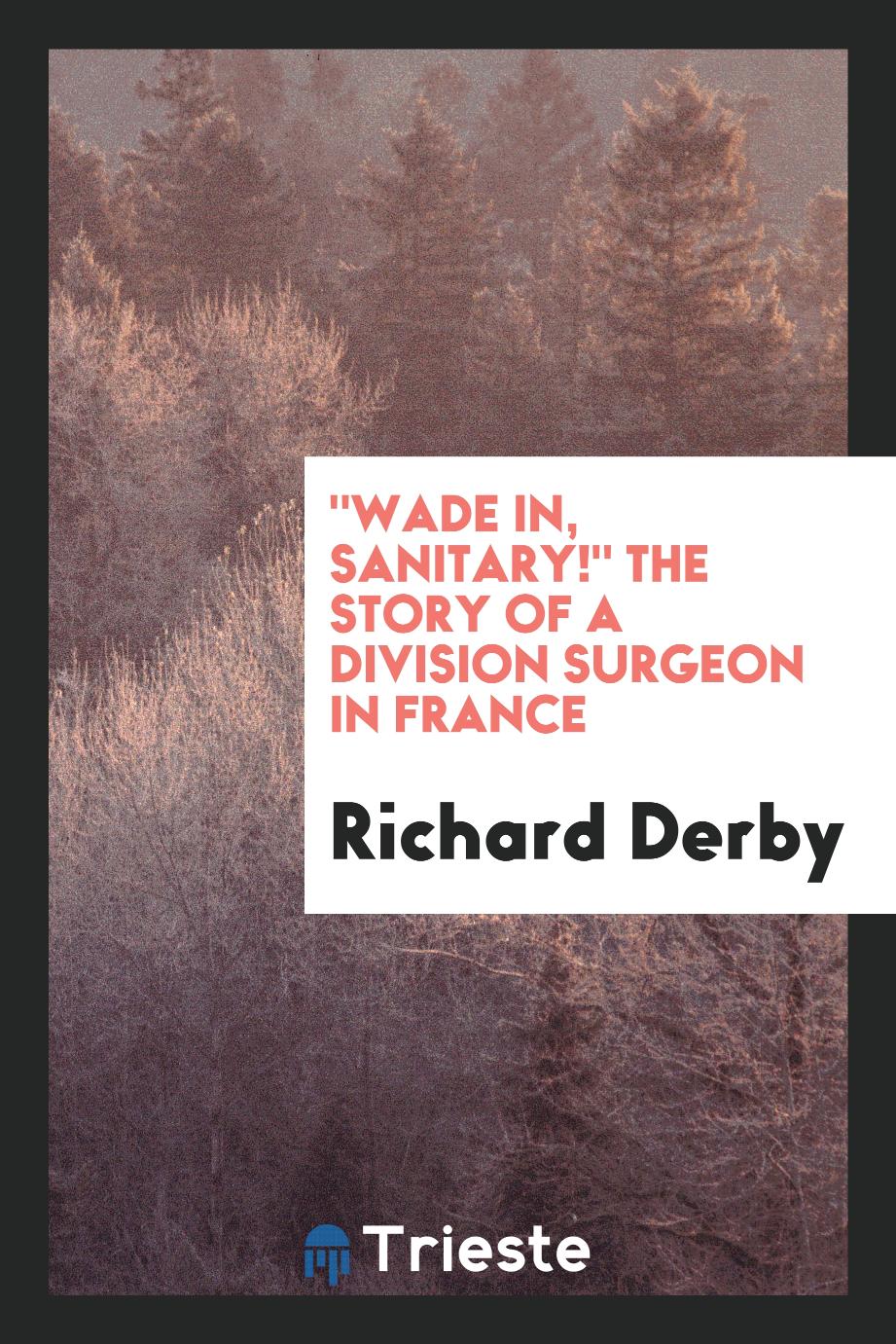 "Wade in, sanitary!" The story of a division surgeon in France
