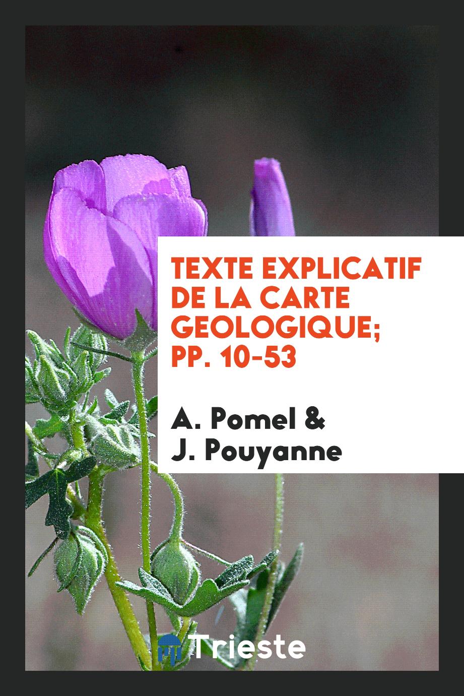 Texte Explicatif de la Carte Geologique; pp. 10-53