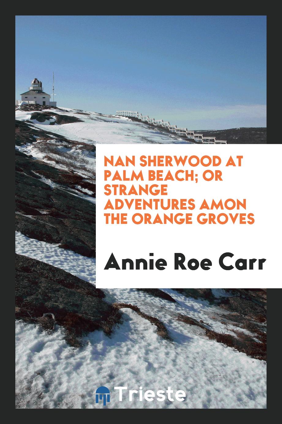 Nan Sherwood at Palm Beach; or strange adventures amon the orange groves