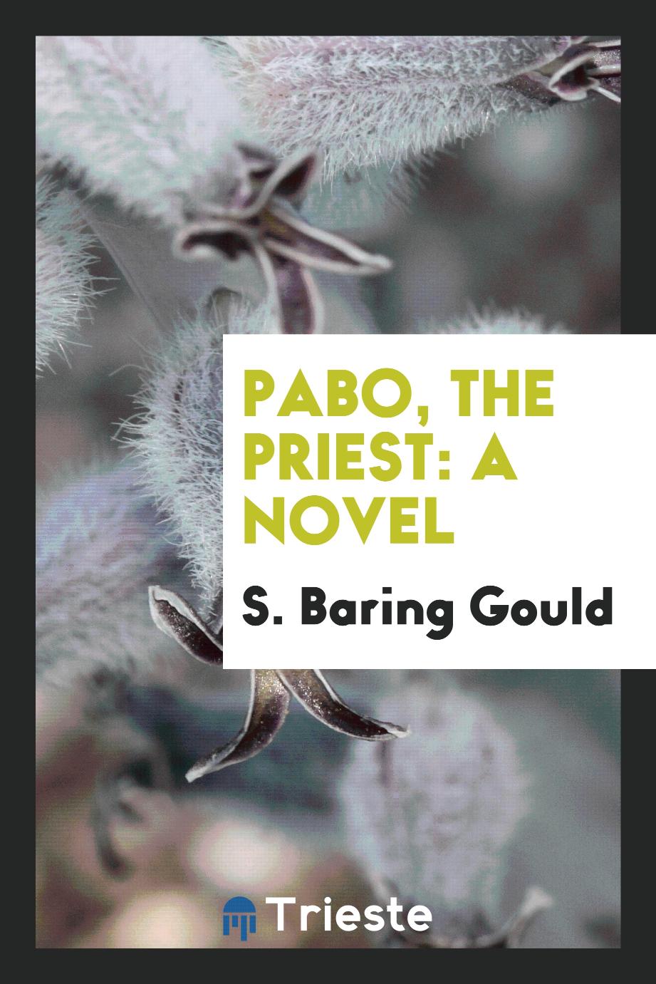 Pabo, the priest: a novel