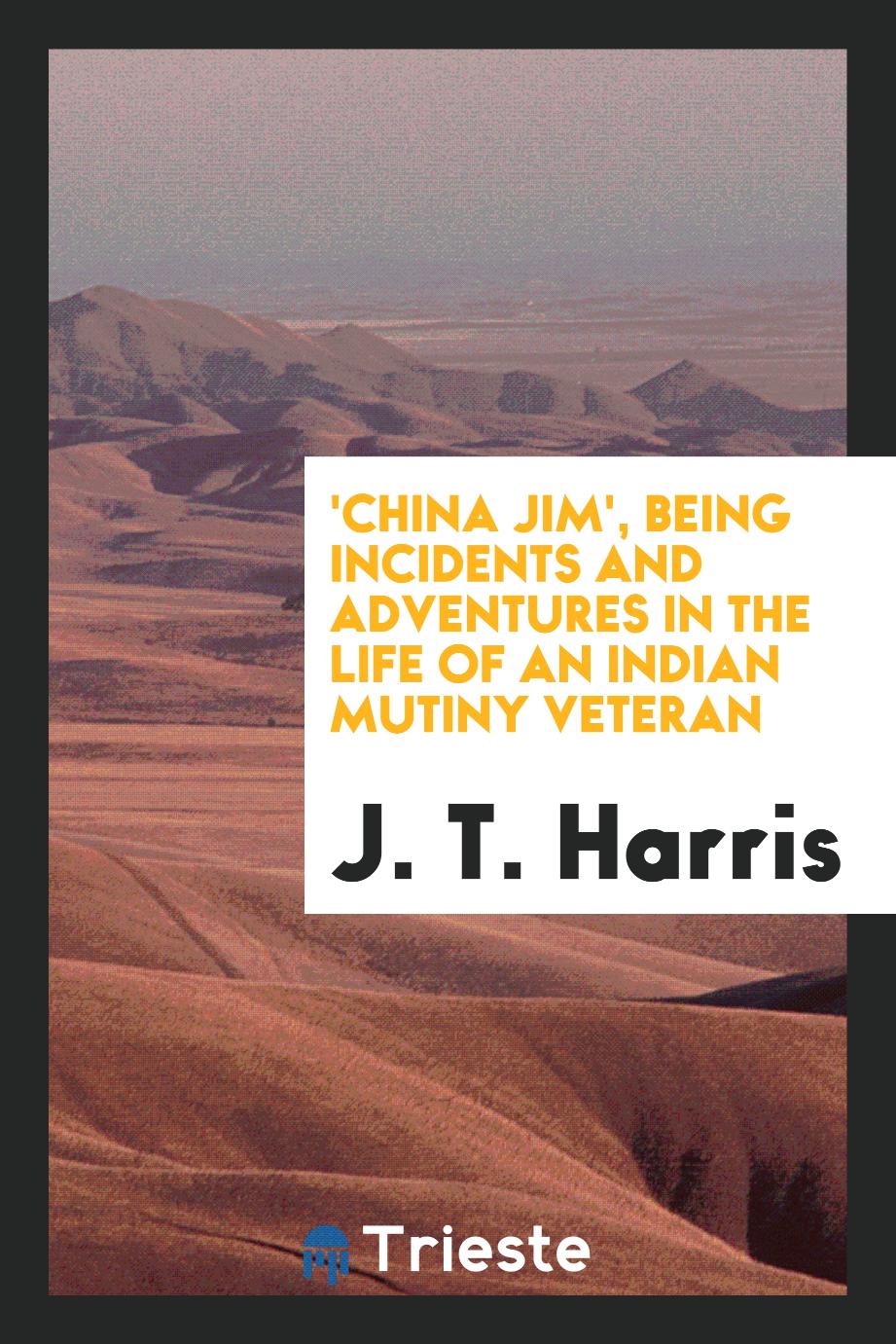 'China Jim', Being Incidents and Adventures in the Life of an Indian Mutiny Veteran
