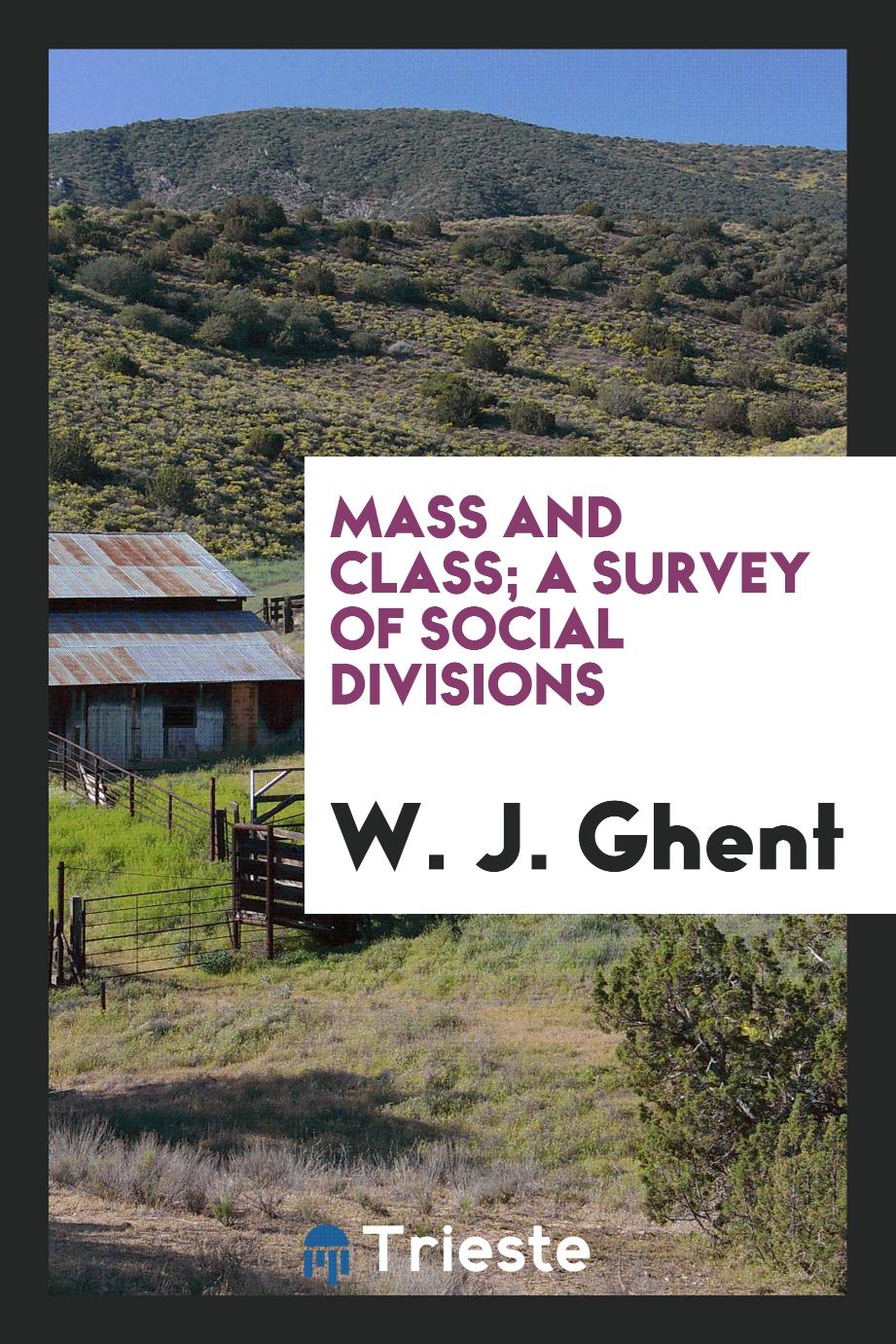 Mass and class; a survey of social divisions