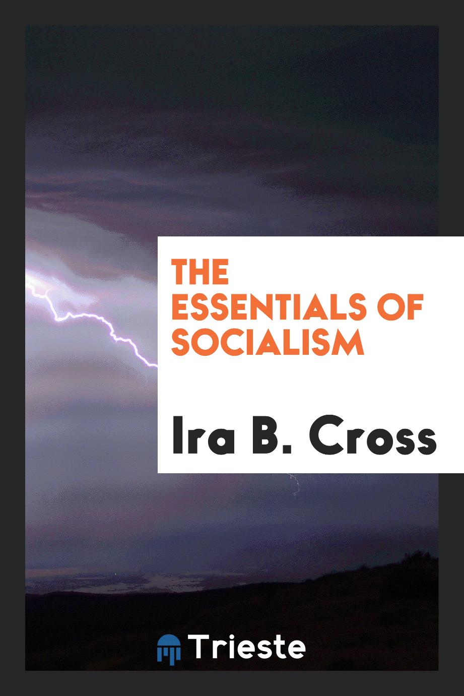 The Essentials of Socialism
