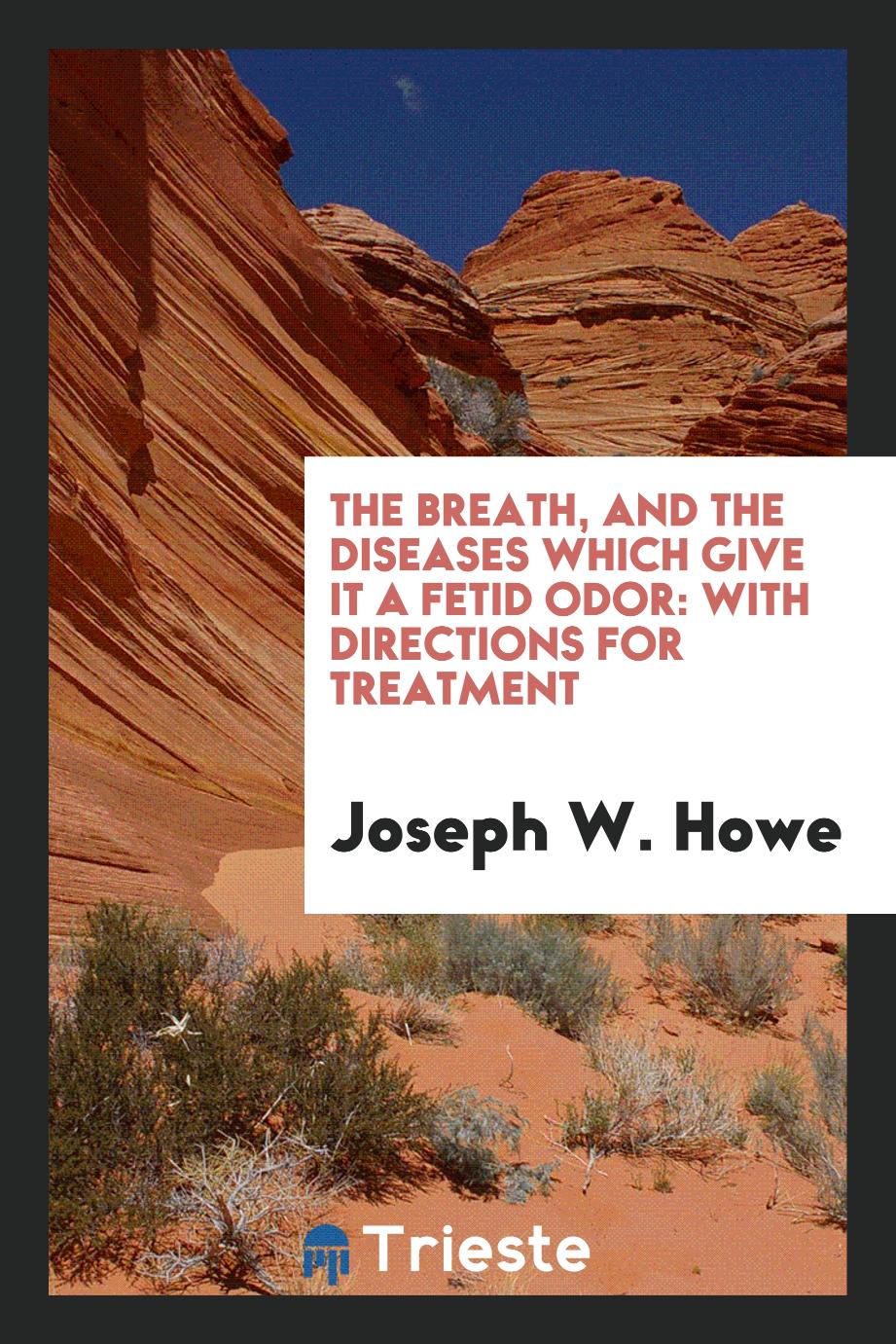 The Breath, and the Diseases Which Give It a Fetid Odor: With Directions for Treatment