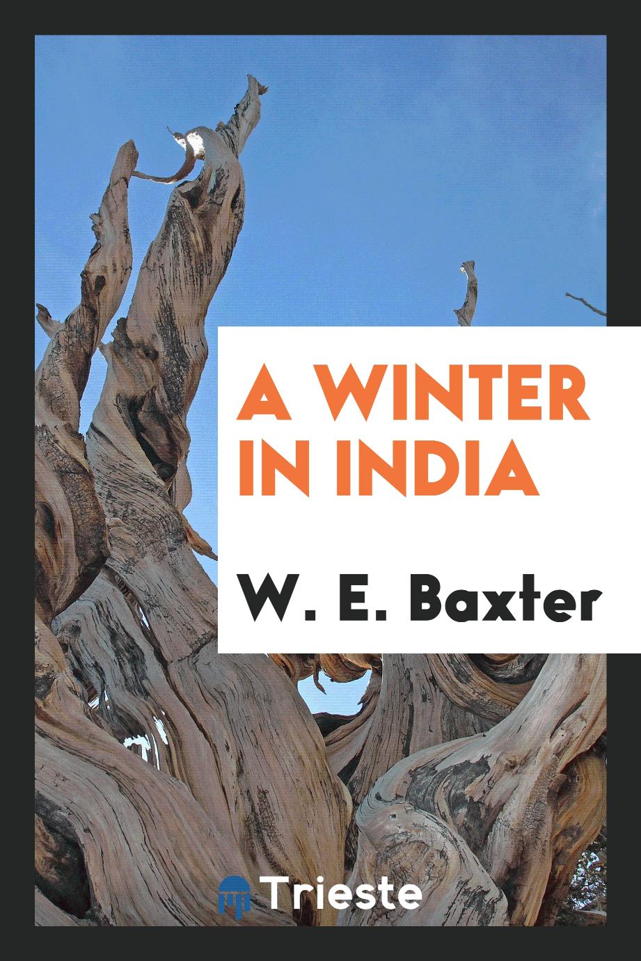 A Winter in India