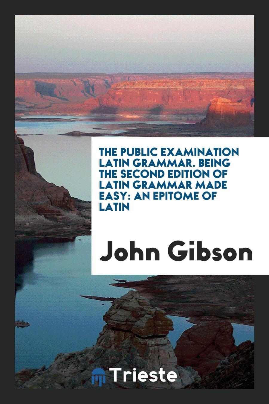 The public examination Latin grammar. Being the second edition of Latin grammar made easy: an epitome of Latin