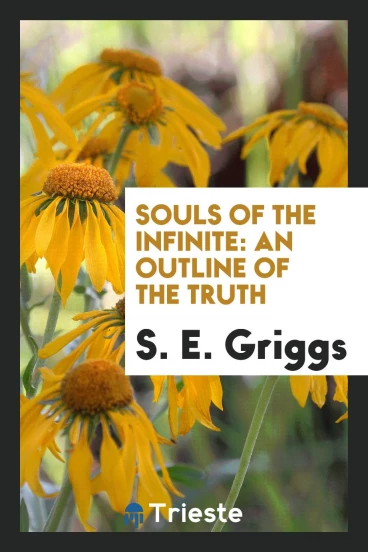 Souls of the infinite: an outline of the truth