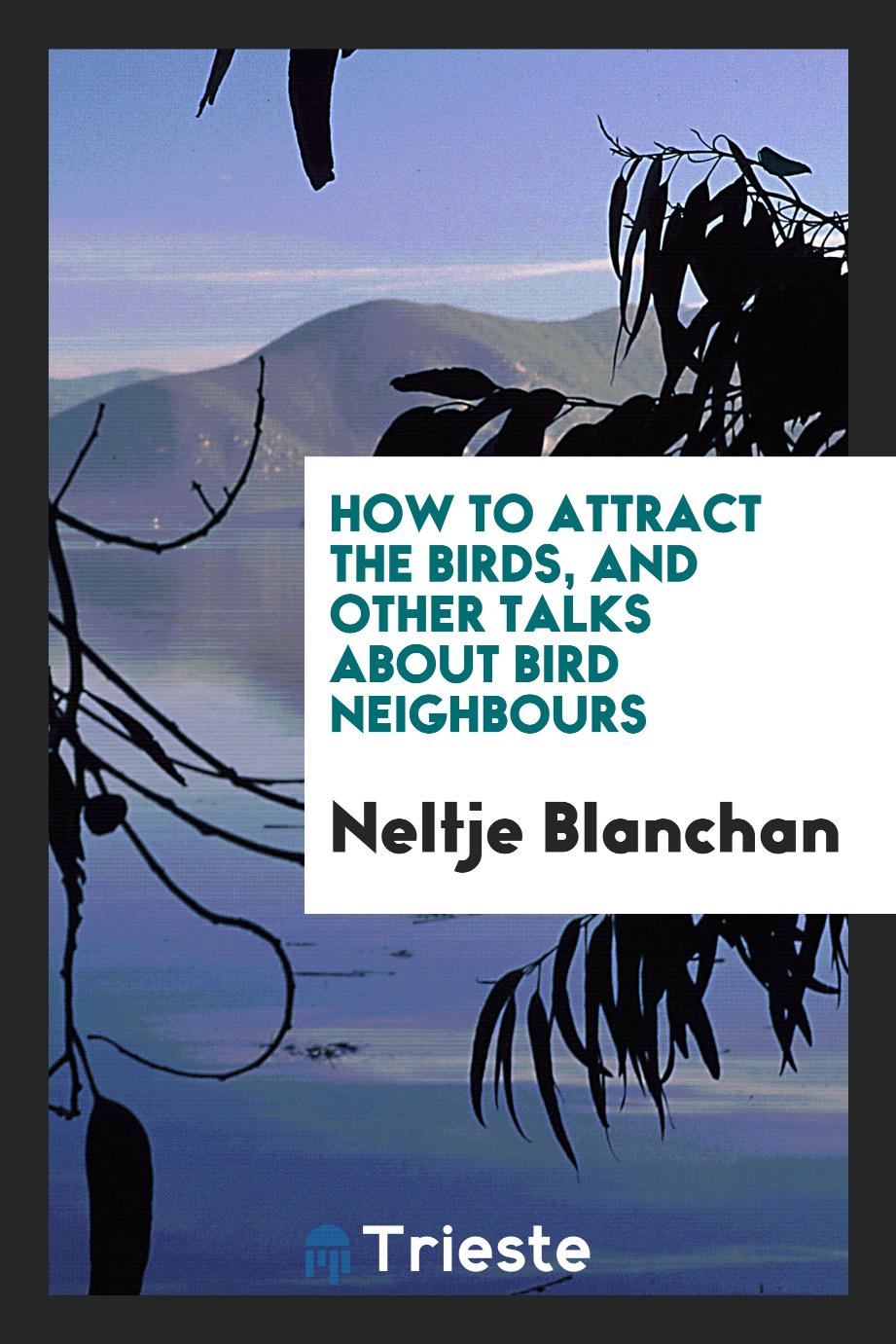 How to Attract the Birds, and Other Talks about Bird Neighbours