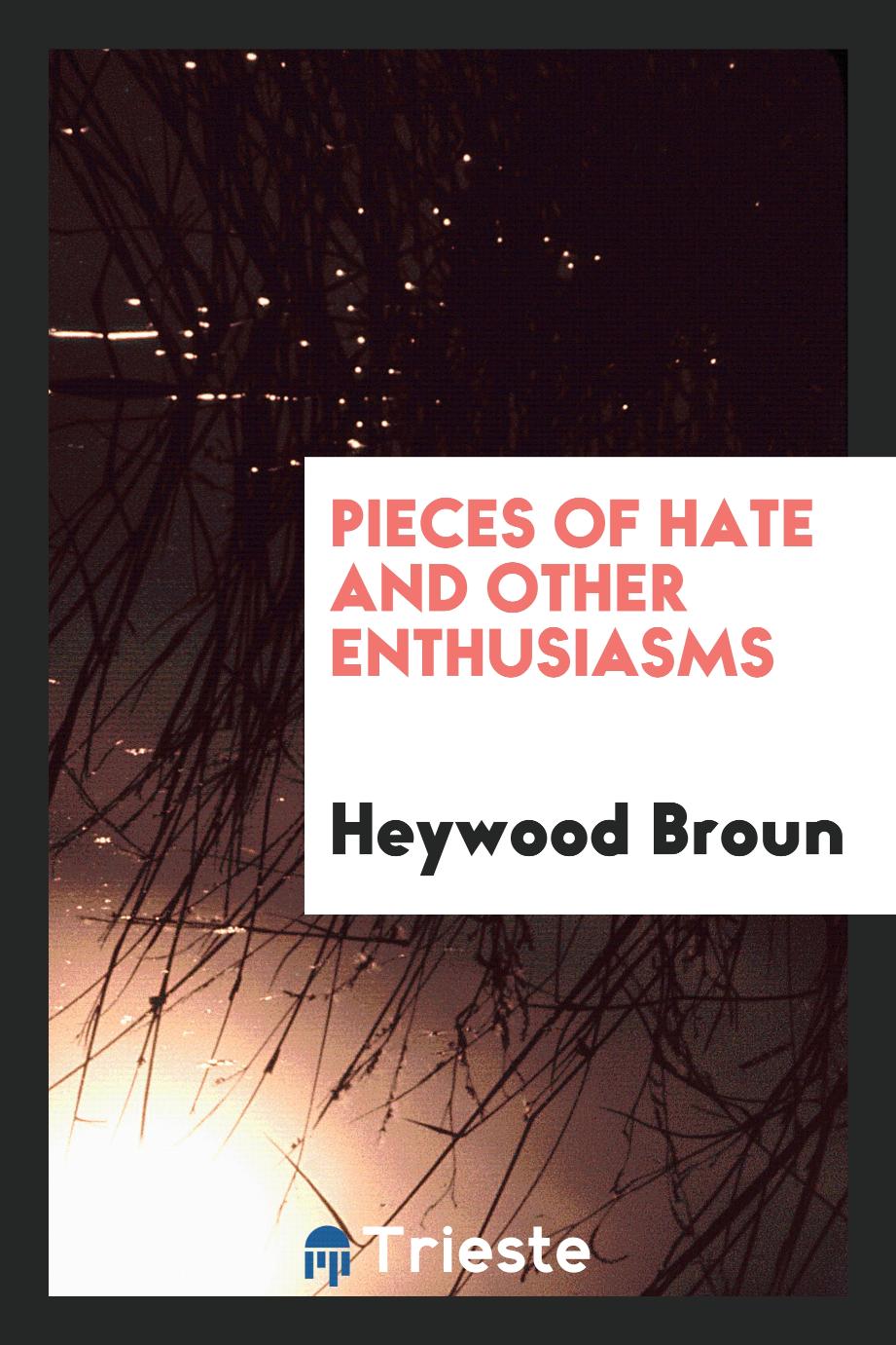 Pieces of hate and other enthusiasms
