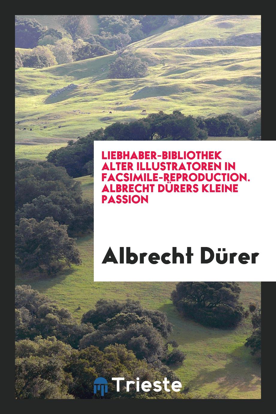 Liebhaber-Bibliothek Alter Illustratoren in Facsimile-Reproduction. Albrecht Dürers Kleine Passion