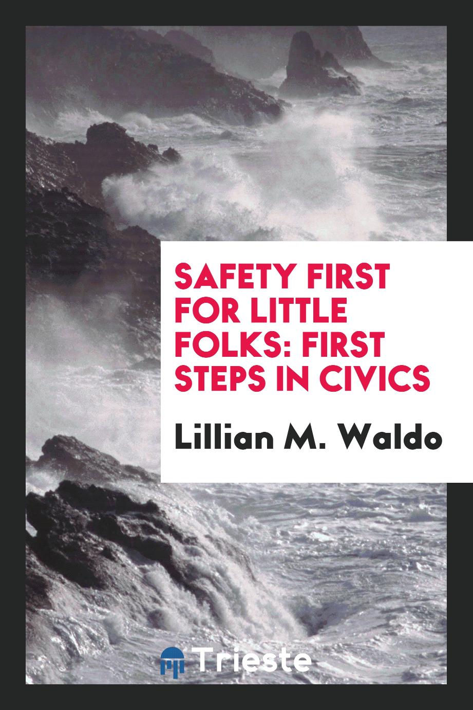 Safety First for Little Folks: First Steps in Civics