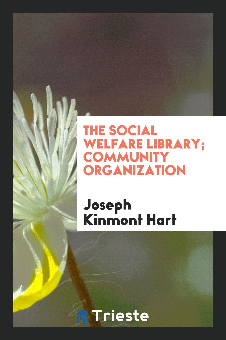 The Social Welfare Library; Community Organization