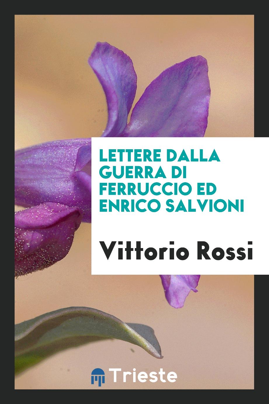 Lettere dalla guerra di Ferruccio ed Enrico Salvioni