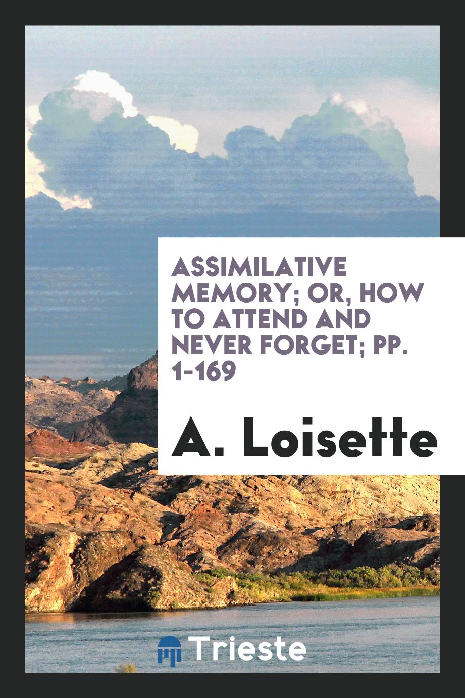 Assimilative Memory; Or, How to Attend and Never Forget; pp. 1-169