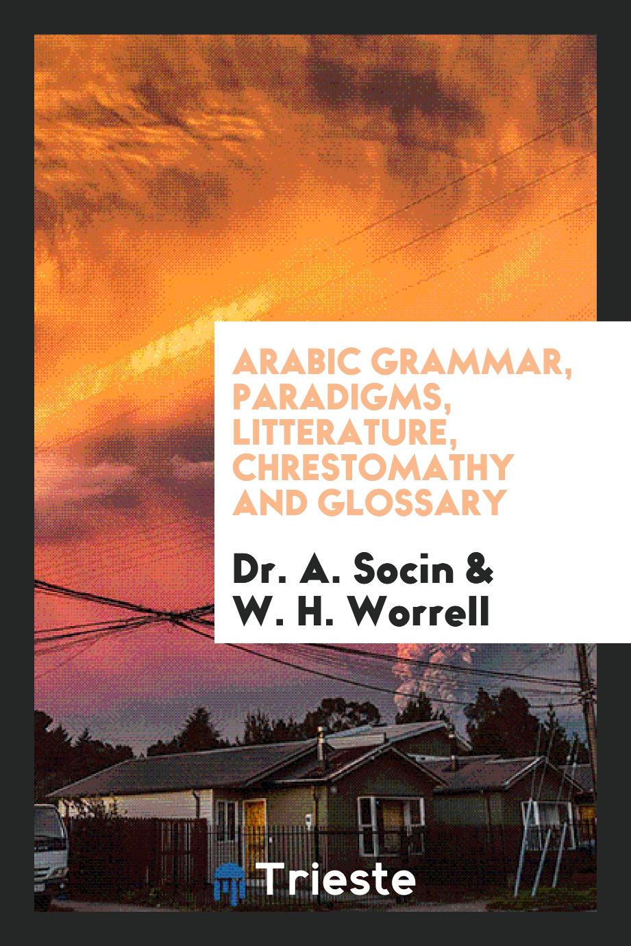 Arabic Grammar, Paradigms, Litterature, Chrestomathy and Glossary