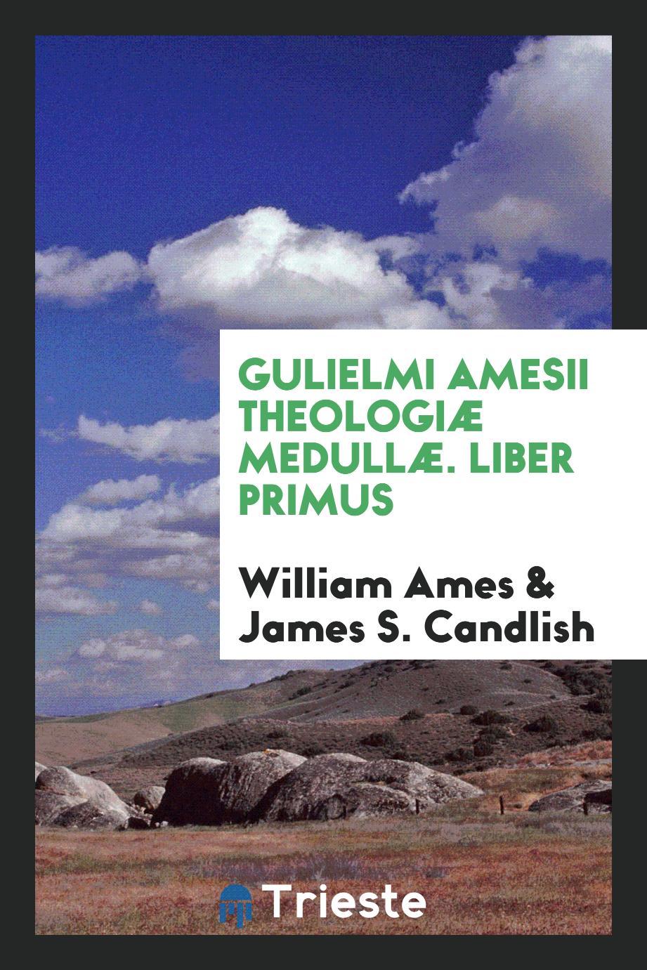 Gulielmi Amesii Theologiæ Medullæ. Liber Primus