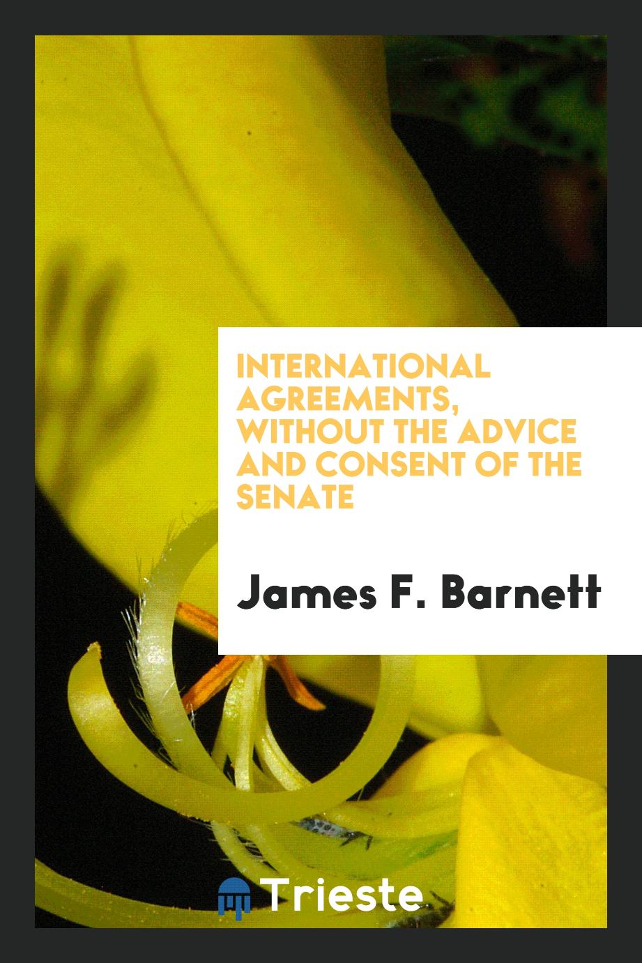 International Agreements, Without the Advice and Consent of the Senate