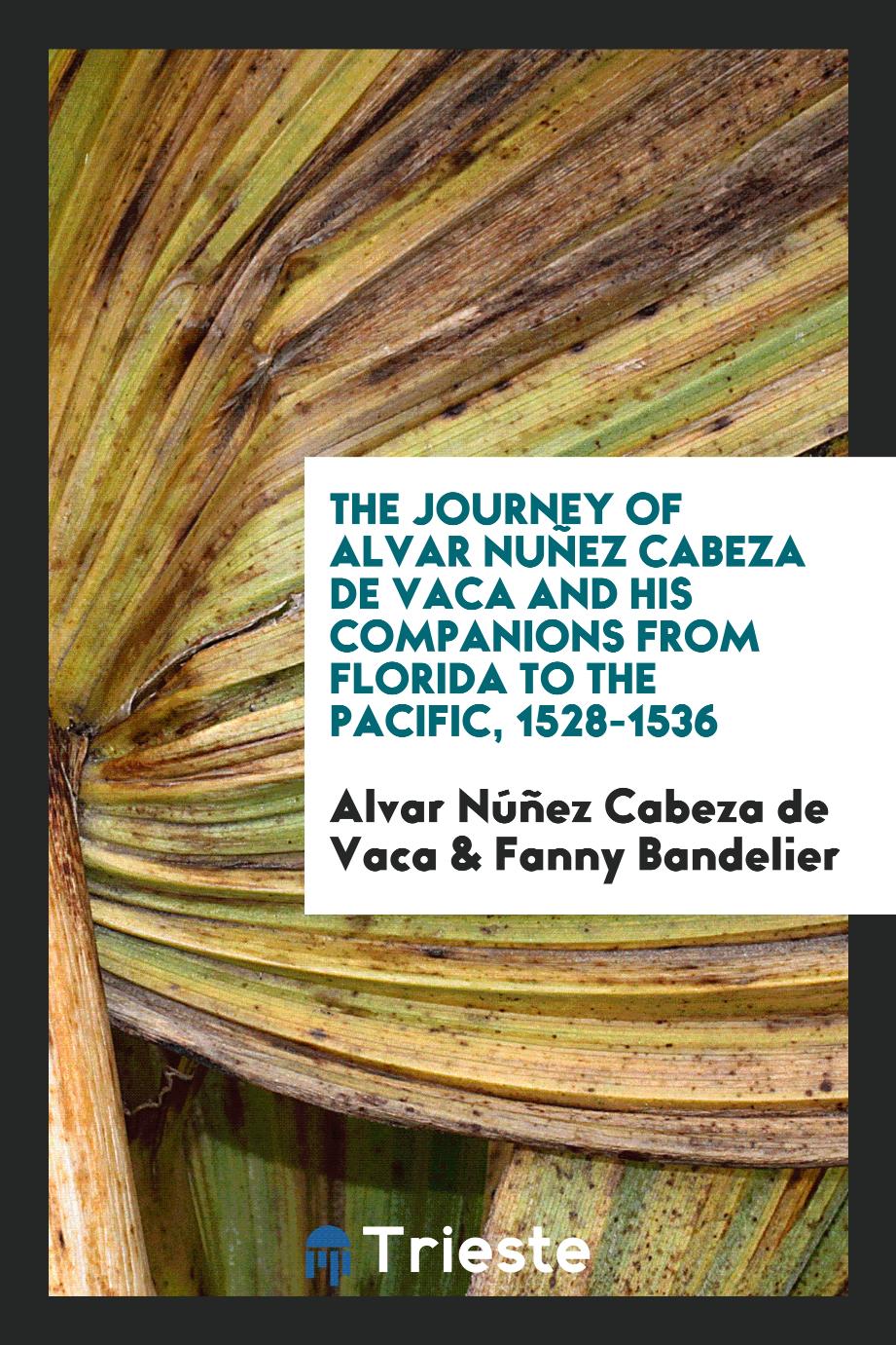 The Journey of Alvar Nuñez Cabeza de Vaca and His Companions from Florida to the Pacific, 1528-1536