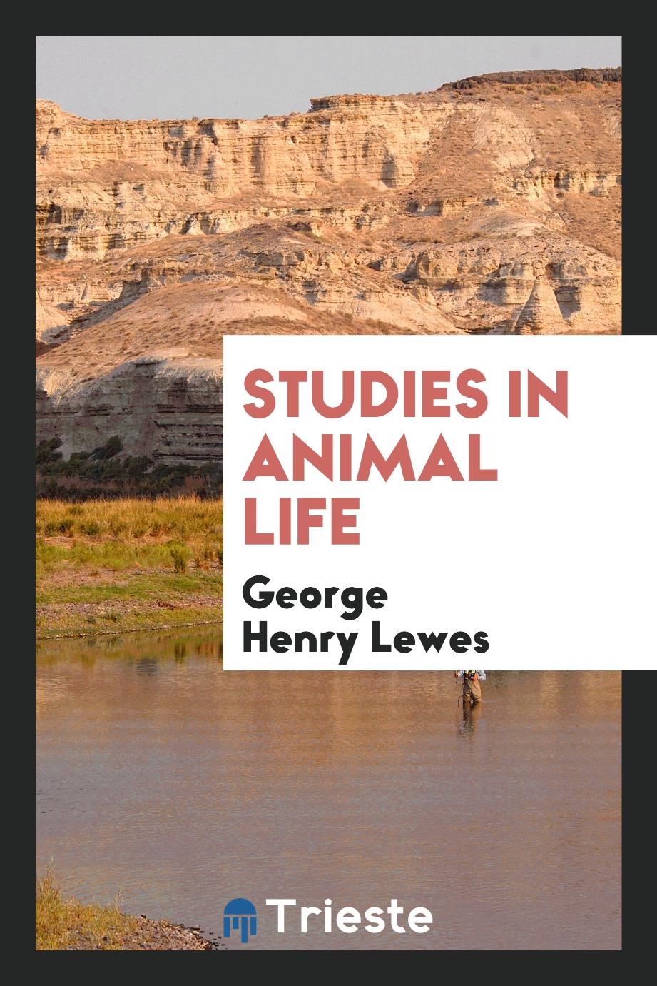 Studies in Animal Life