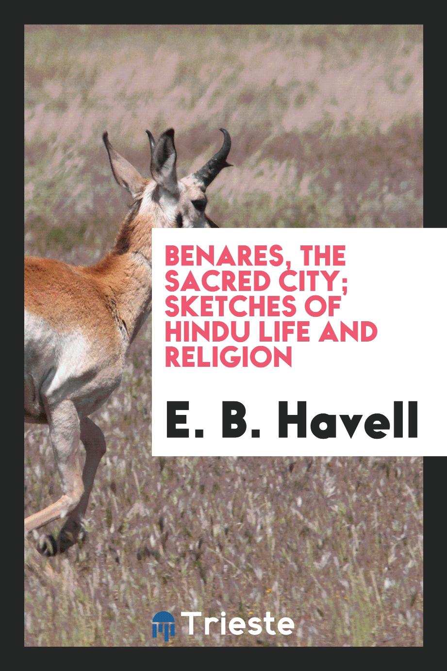 Benares, the sacred city; sketches of Hindu life and religion