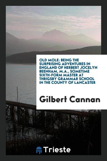 Old Mole: Being the Surprising Adventures in England of Herbert Jocelyn Beenham, M.A., Sometime Sixth-Form Master at Thrigsby Grammar School in the County of Lancaster