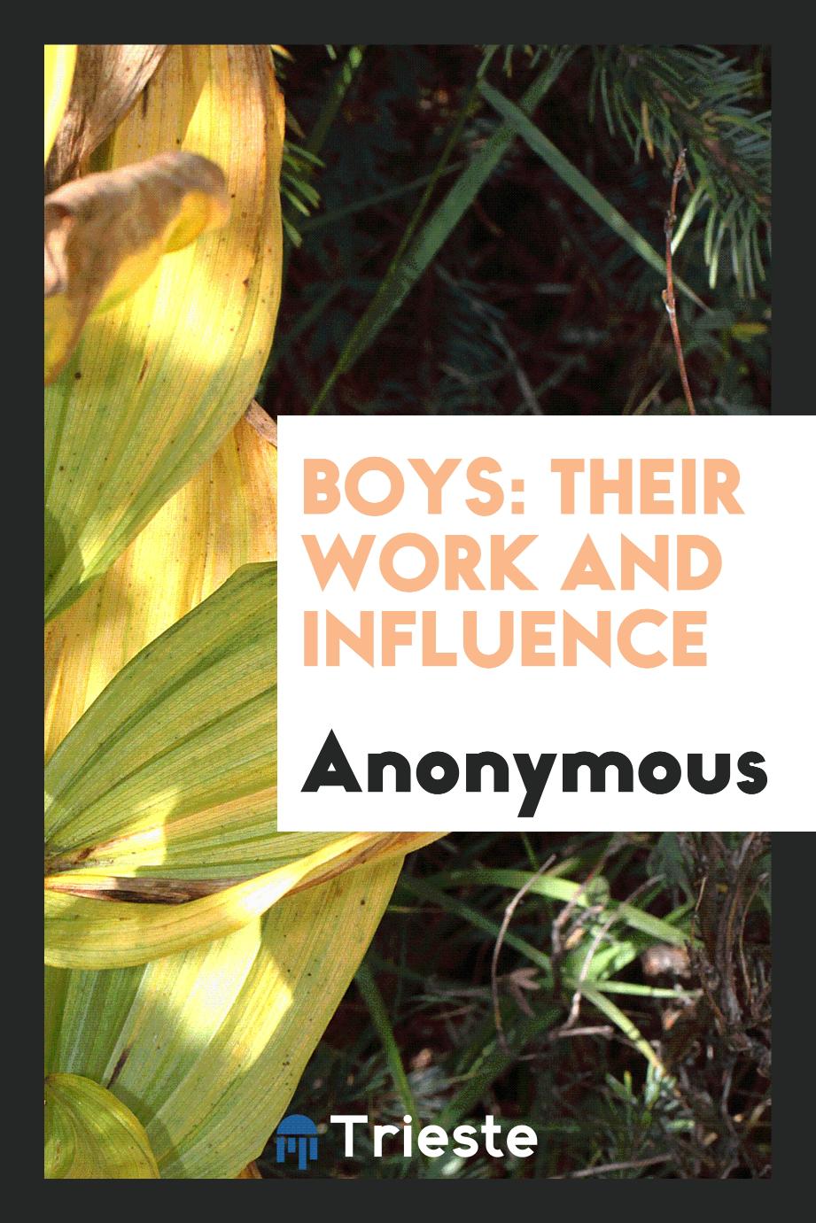 Boys: their work and influence