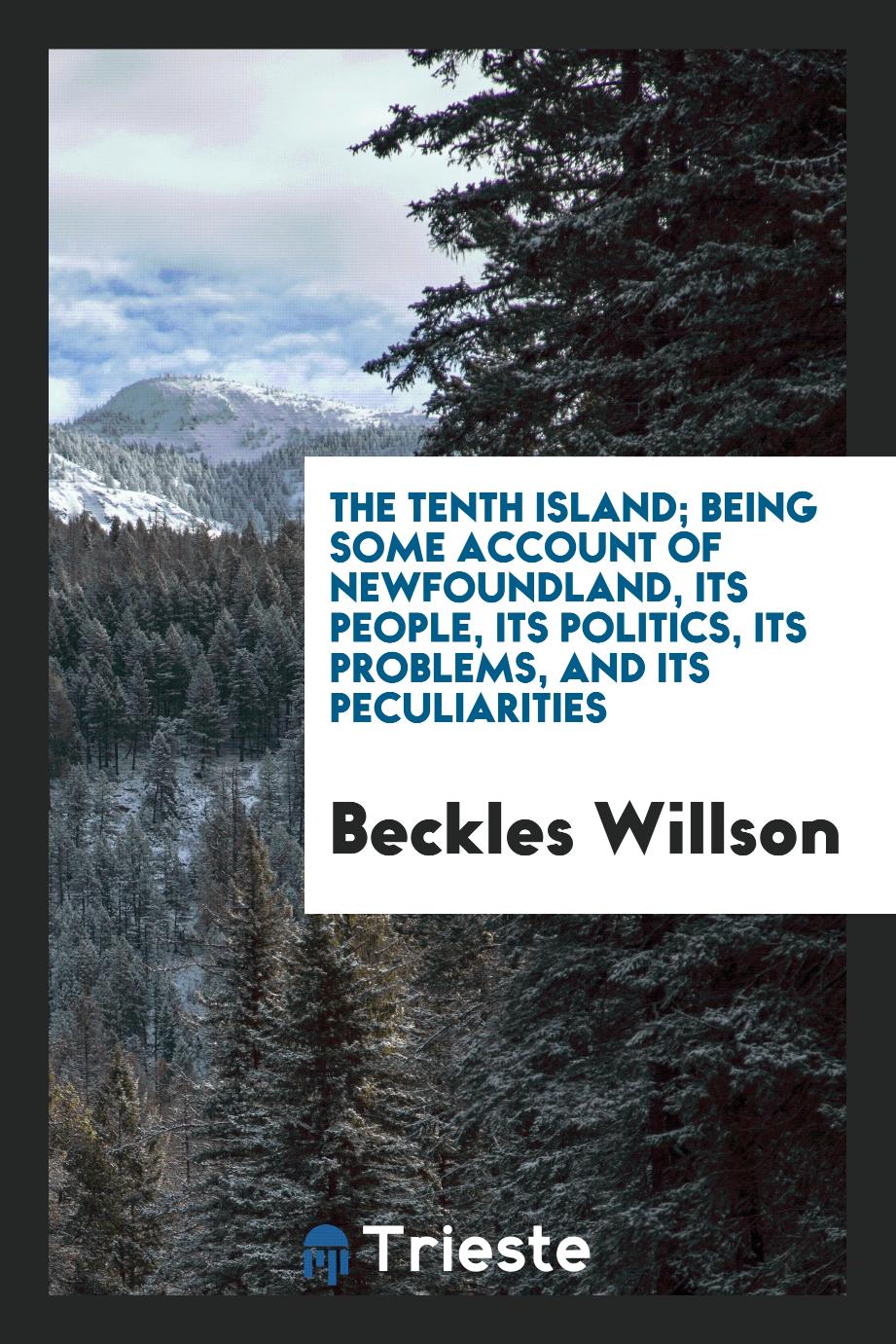 The tenth island; being some account of Newfoundland, its people, its politics, its problems, and its peculiarities
