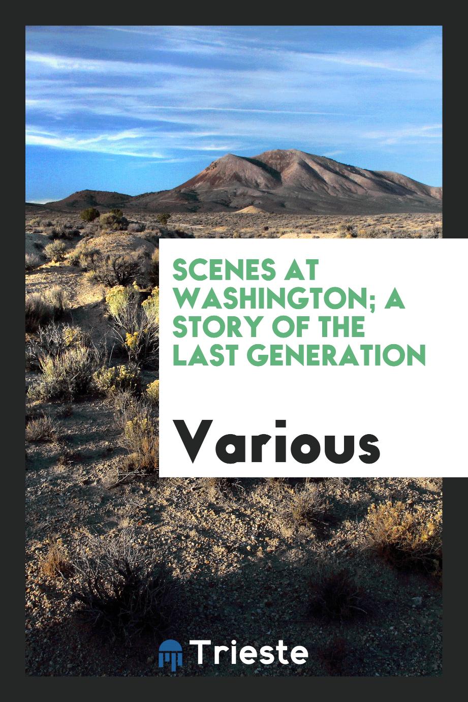 Scenes at Washington; A Story of the Last Generation