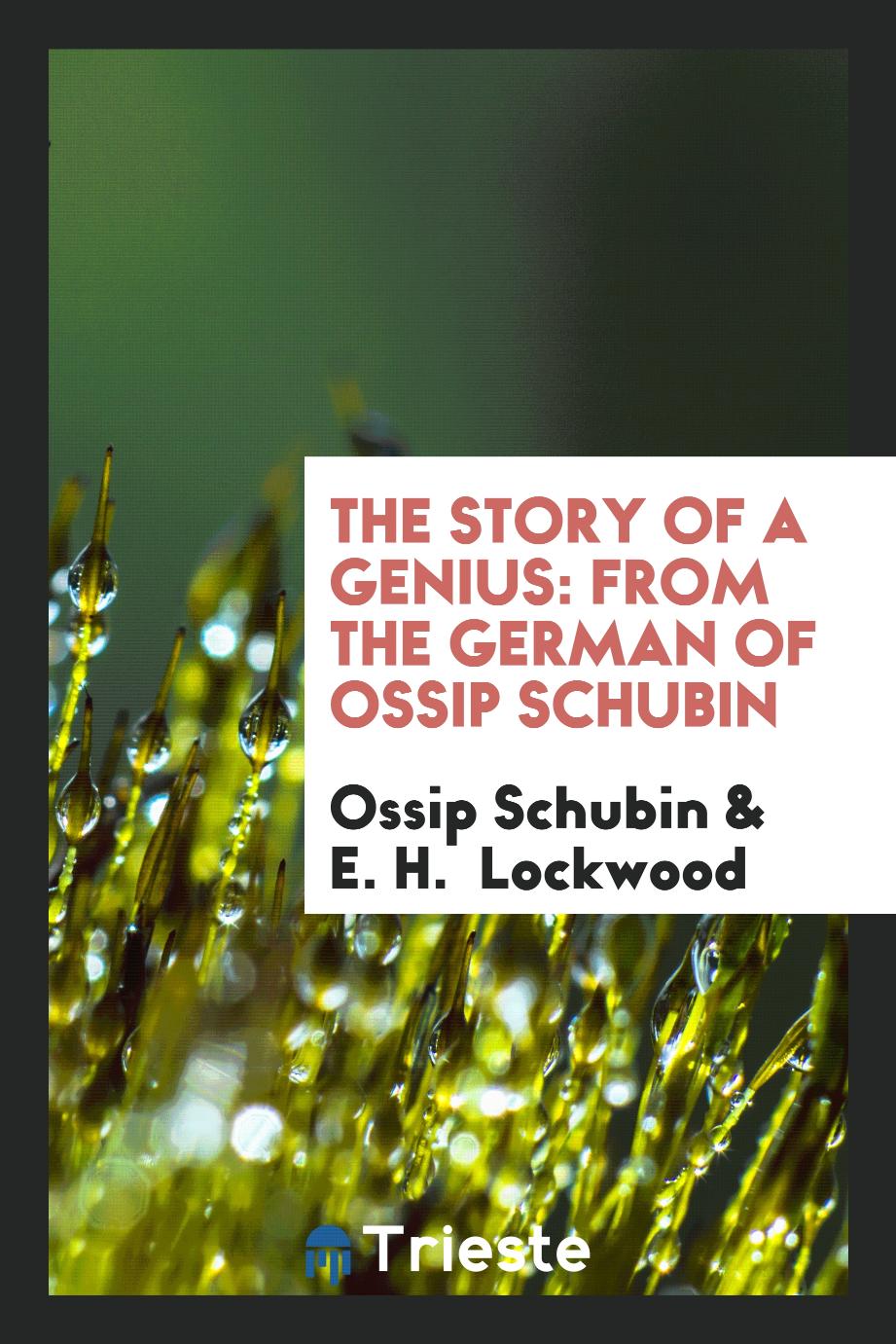 The Story of a Genius: From the German of Ossip Schubin