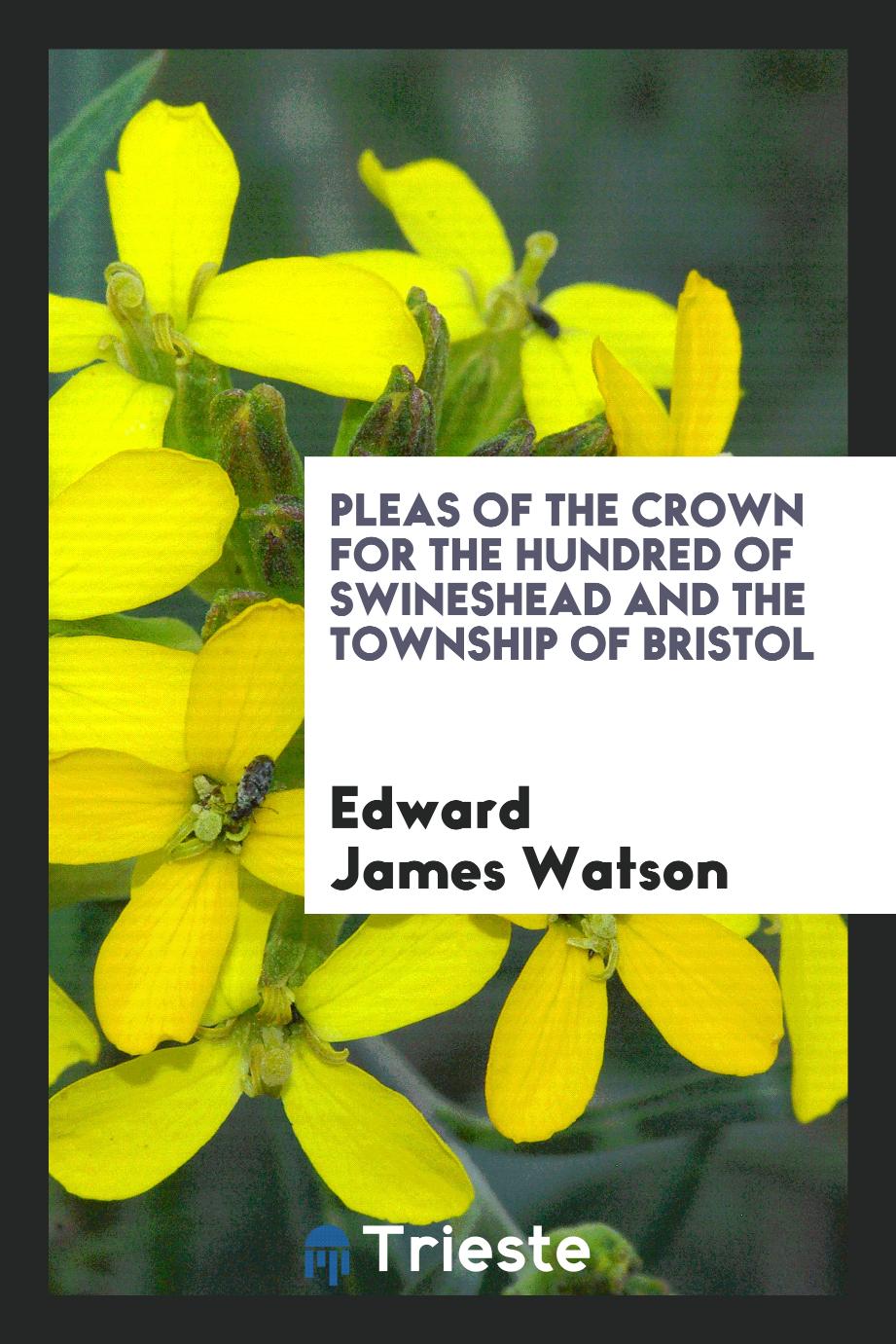 Pleas of the Crown for the Hundred of Swineshead and the Township of Bristol