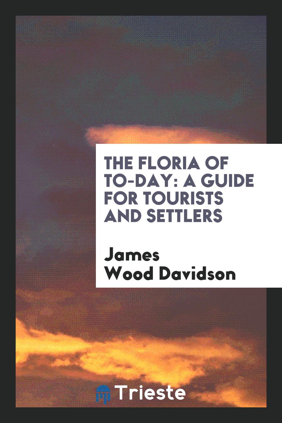 The Floria of To-Day: A Guide for Tourists and Settlers