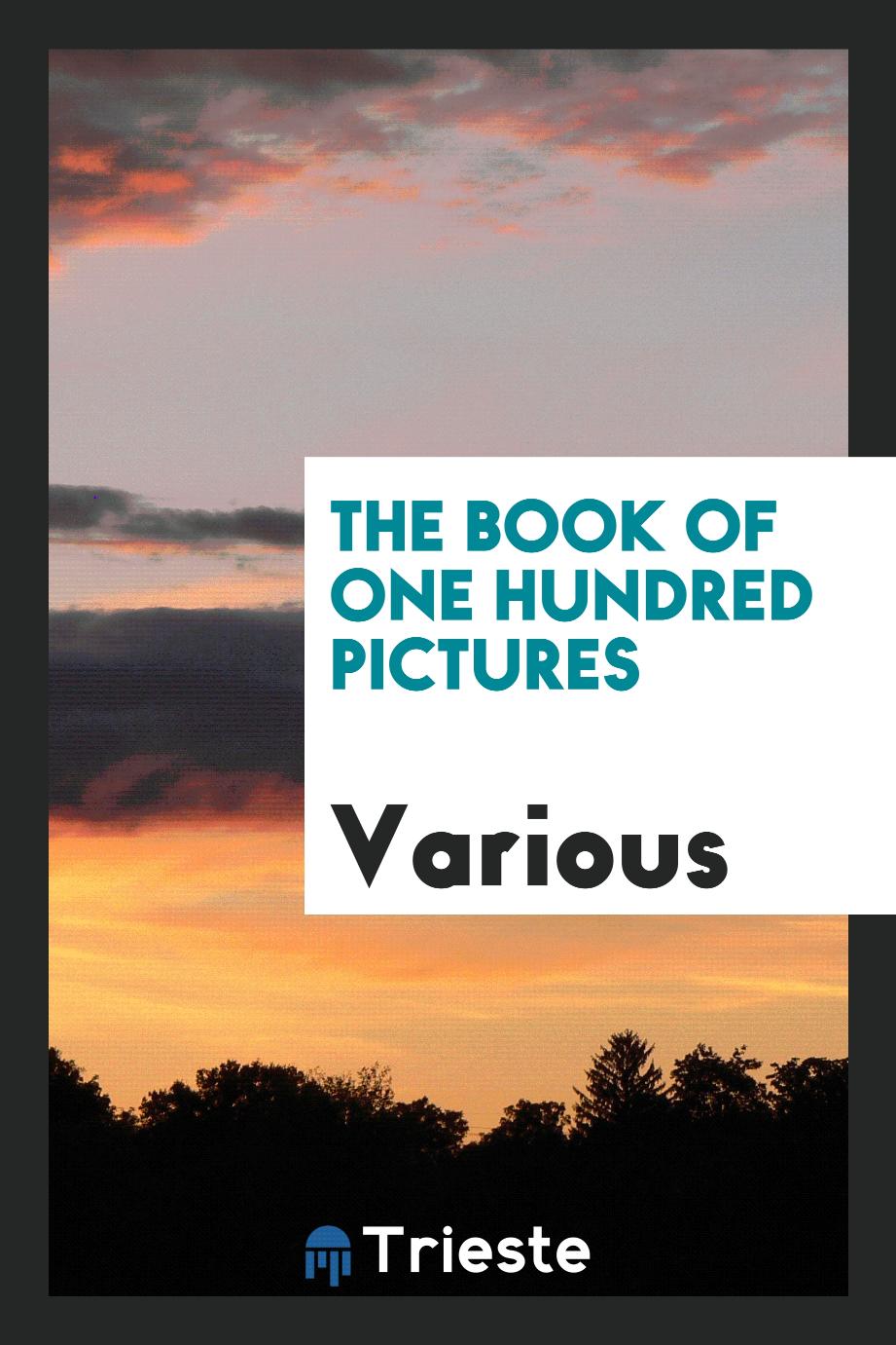 The Book of One Hundred Pictures