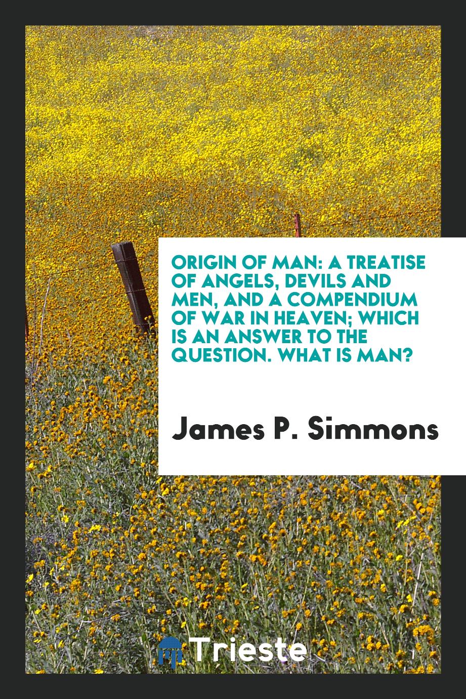 Origin of Man: A Treatise of Angels, Devils and Men, and a Compendium of War in Heaven; which is an answer to the question. What is man?