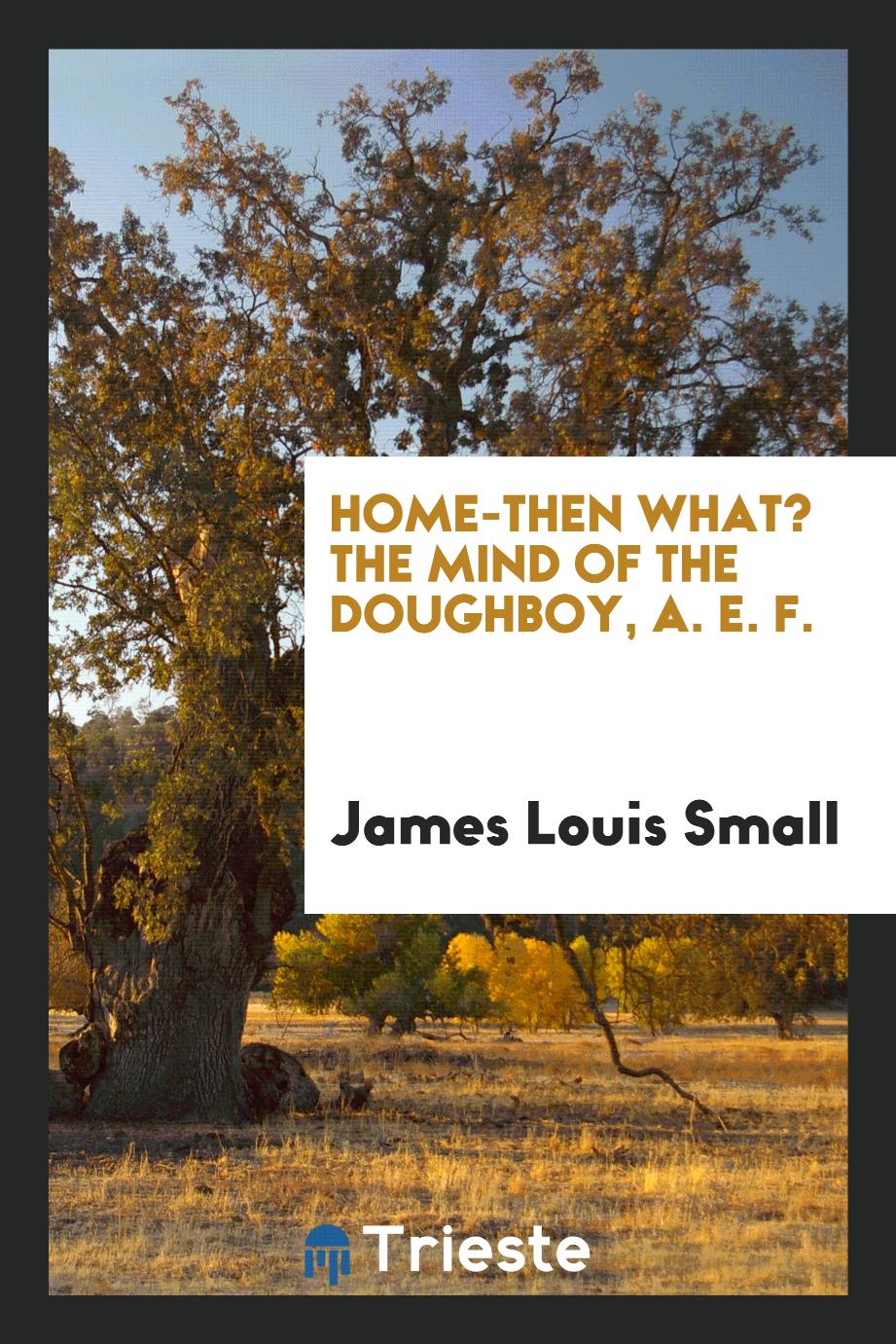 Home-then what? The mind of the doughboy, A. E. F.