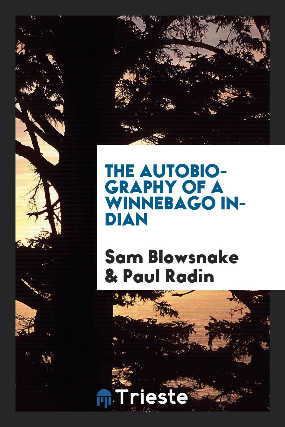 The autobiography of a Winnebago Indian