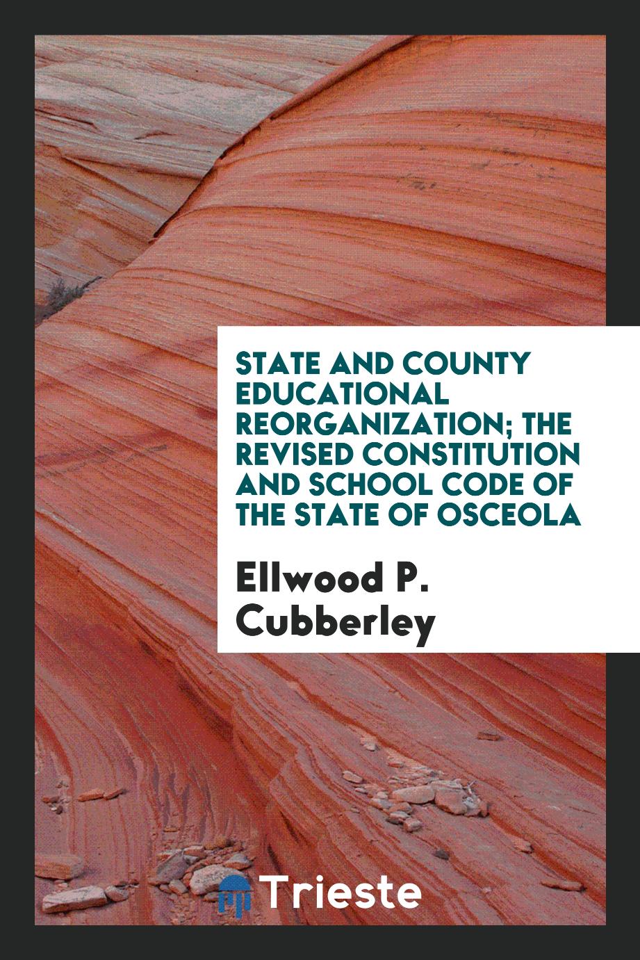 State and county educational reorganization; the revised constitution and school code of the state of Osceola