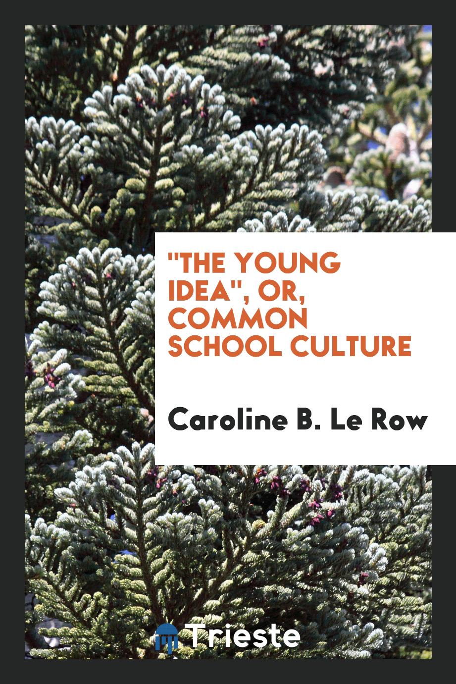 "The young idea", or, Common school culture