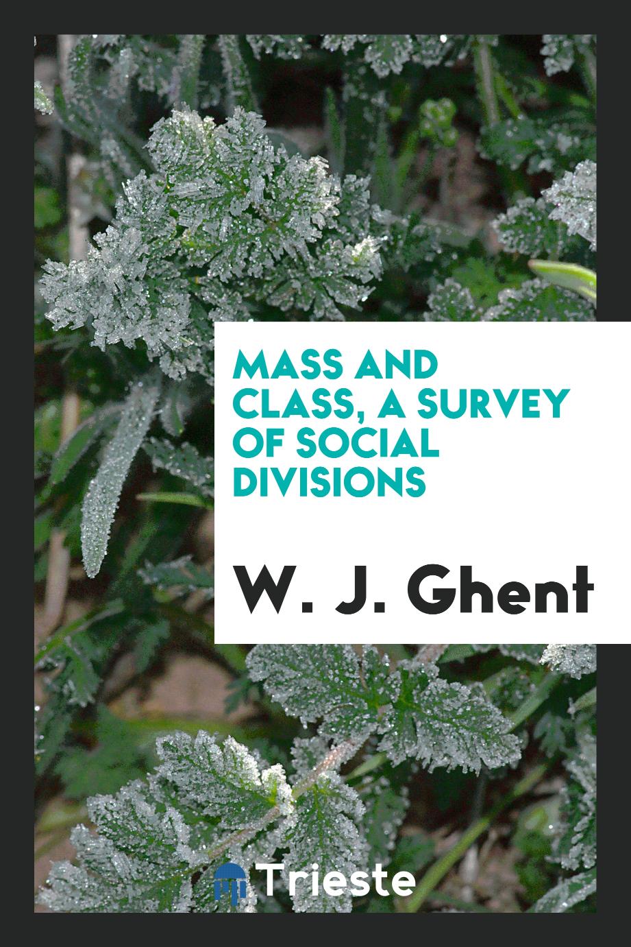 Mass and class, a survey of social divisions