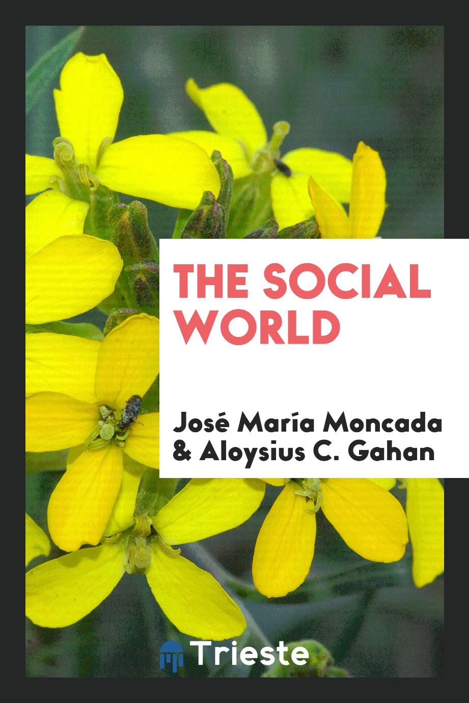 The Social World
