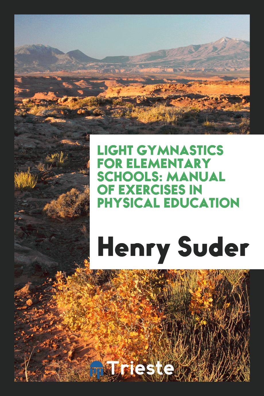 Light gymnastics for elementary schools: manual of exercises in physical education