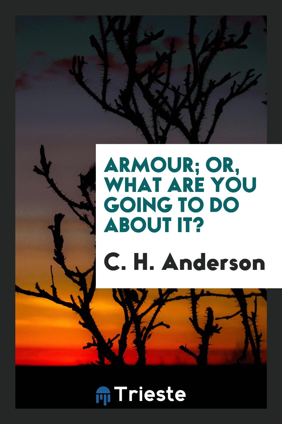 Armour; or, What are you going to do about it?