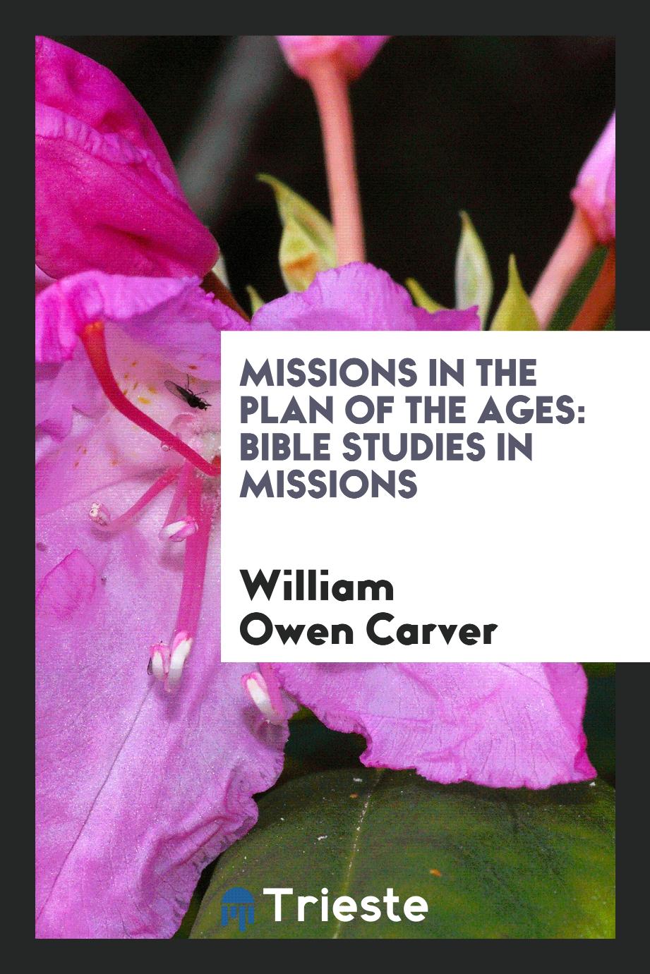 Missions in the Plan of the Ages: Bible Studies in Missions