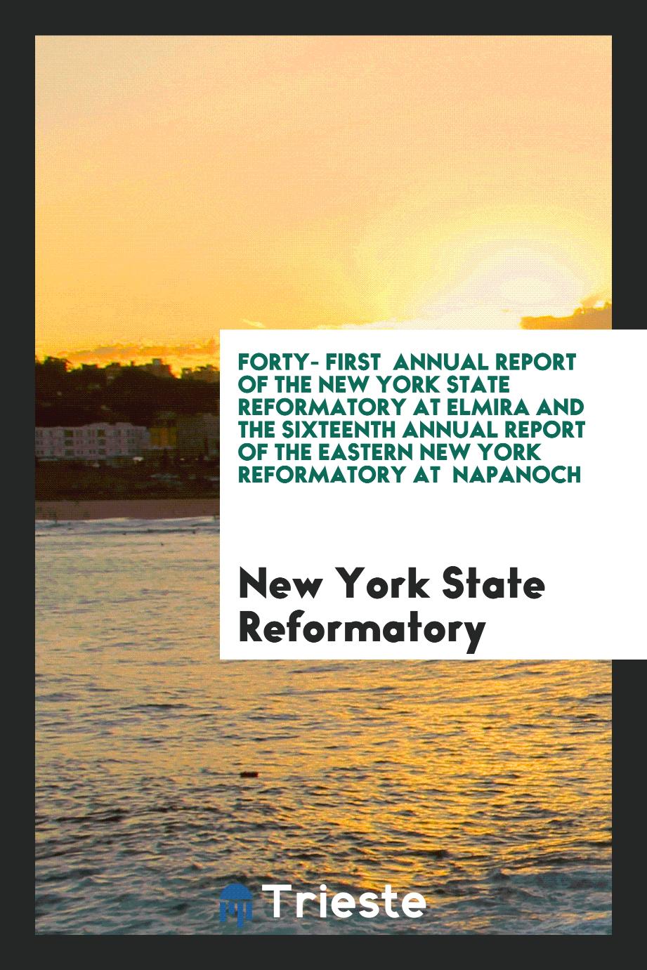 Forty- First Annual Report of the New York State Reformatory at Elmira and the Sixteenth Annual Report of the Eastern New York Reformatory at Napanoch