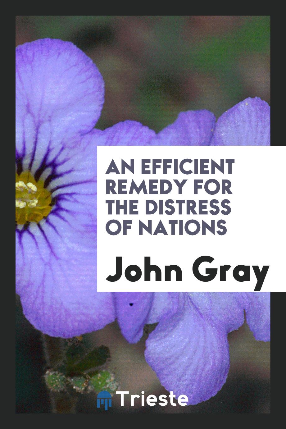 John Gray - An Efficient Remedy for the Distress of Nations