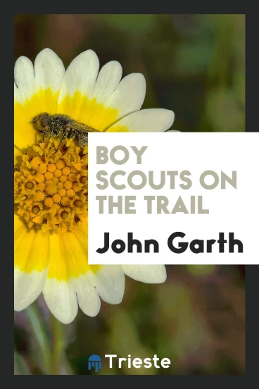 Boy scouts on the trail