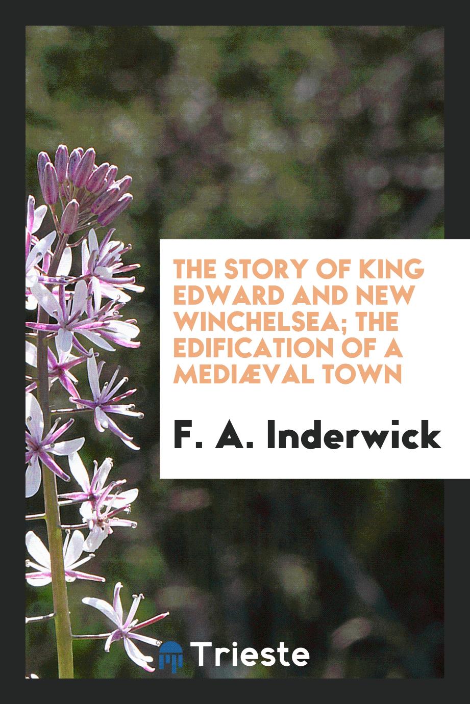 The story of King Edward and New Winchelsea; the edification of a mediæval town
