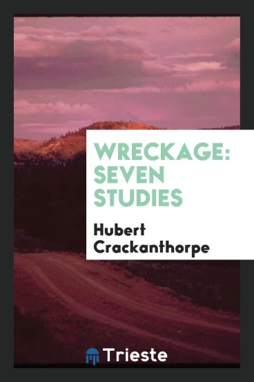 Wreckage: seven studies