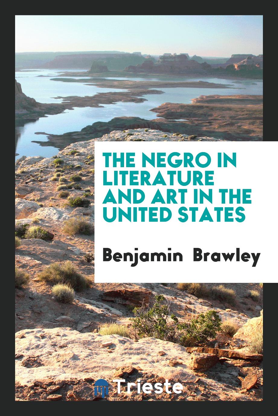 The negro in literature and art in the United States