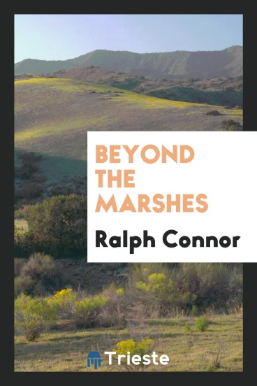 Beyond the Marshes